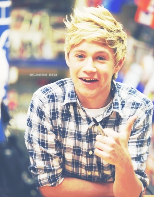 NJH-3-niall-horan-21126717-500-638